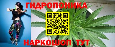 шишки Гусиноозёрск