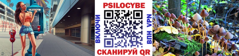 маркетплейс как зайти  где купить наркоту  Невинномысск  Галлюциногенные грибы мицелий 
