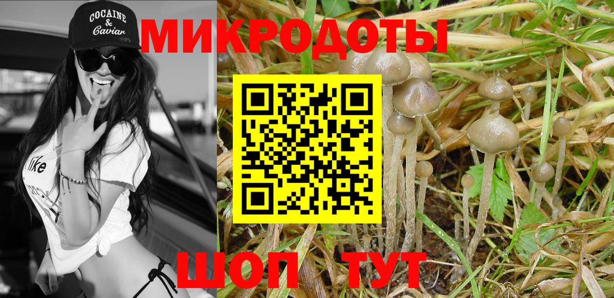 Псилоцибиновые грибы Magic Shrooms  Вход с VPN  Невинномысск  Псилоцибиновые грибы MAGIC MUSHROOMS 