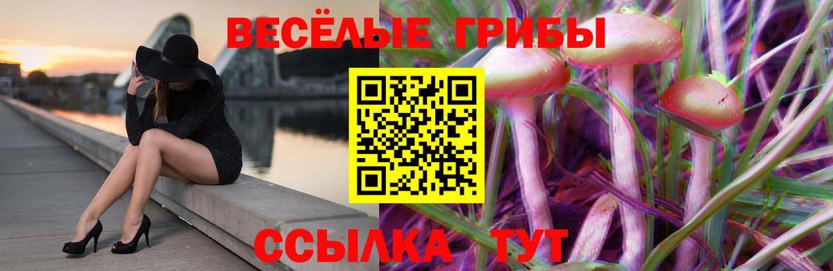 Псилоцибиновые грибы Magic Shrooms  наркотики  Невинномысск 